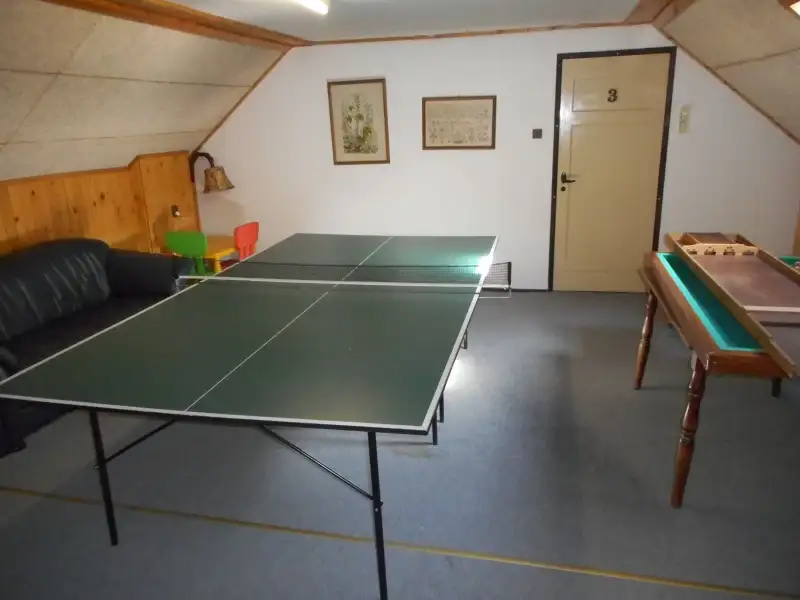 Rodinná chata Horní Kalná – Velká herna, sauna a bazén